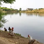 Hotel Hani Geshtenjave *