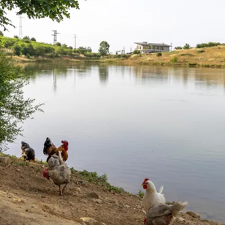 فندق Hani Geshtenjave *