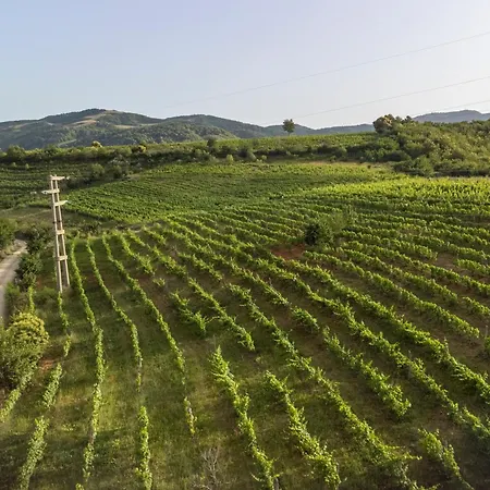 Hani Geshtenjave Bucimas