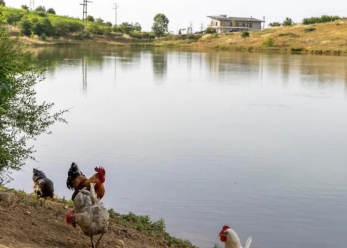 Hotel Hani Geshtenjave *