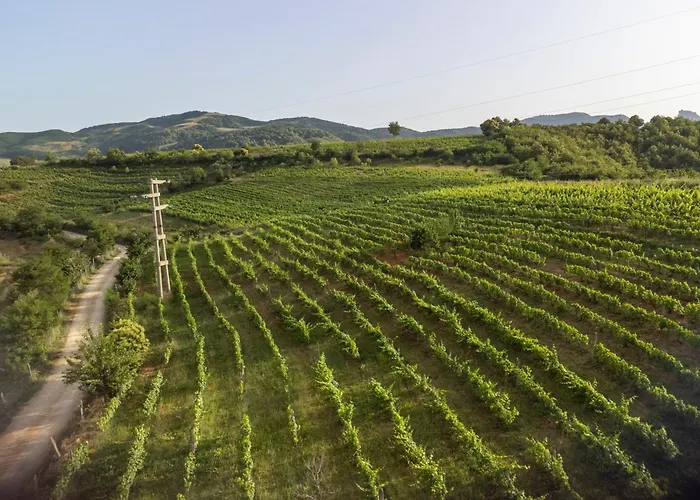 Hani Geshtenjave Bucimas